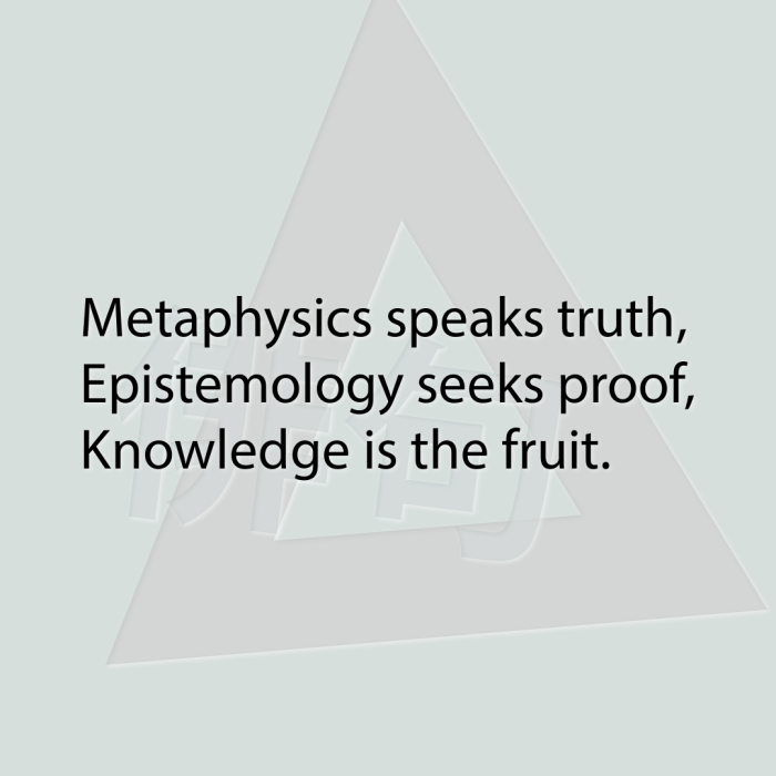 Metaphysics speaks truth, Epistemology seeks proof, Knowledge is the fruit.