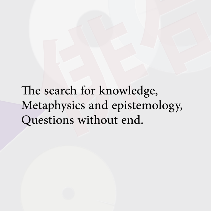 The search for knowledge, Metaphysics and epistemology, Questions without end.