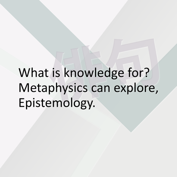 What is knowledge for? Metaphysics can explore, Epistemology.