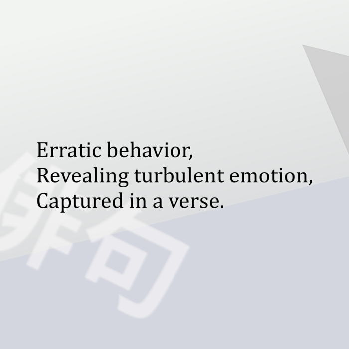 Erratic behavior, Revealing turbulent emotion, Captured in a verse.