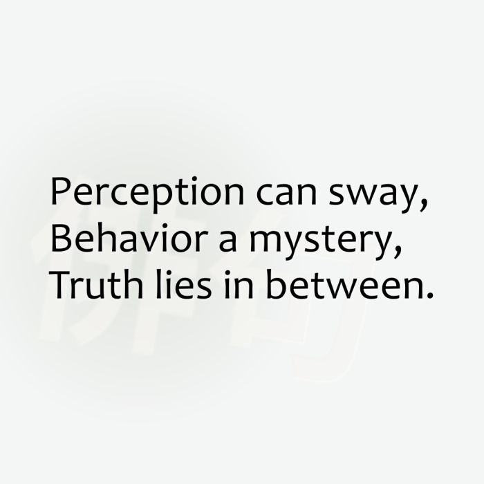 Perception can sway, Behavior a mystery, Truth lies in between.