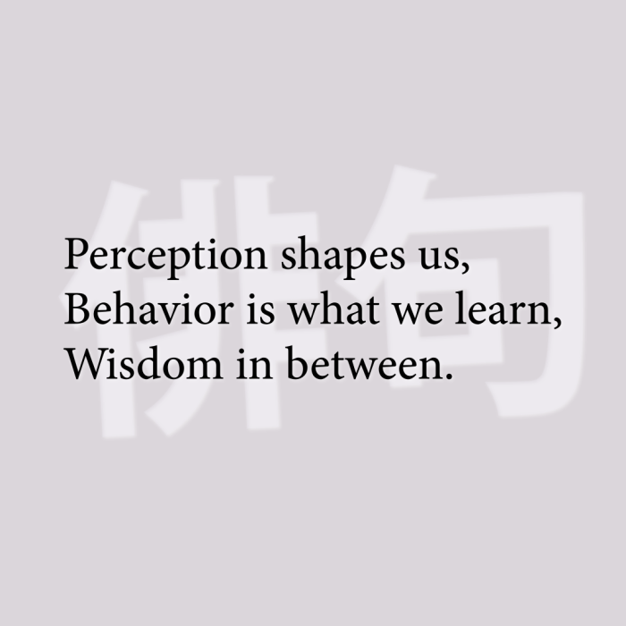 Perception shapes us, Behavior is what we learn, Wisdom in between.