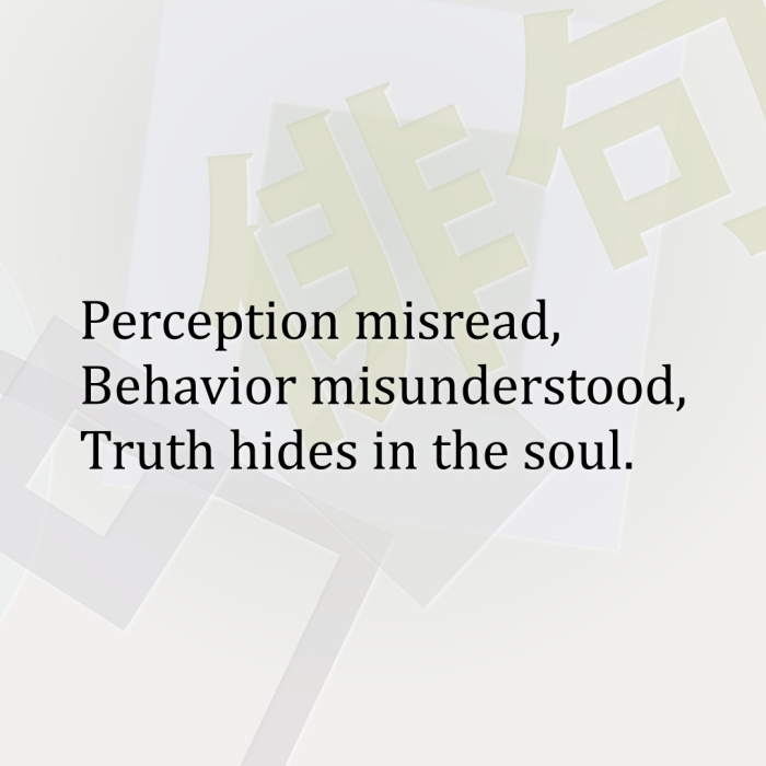 Perception misread, Behavior misunderstood, Truth hides in the soul.