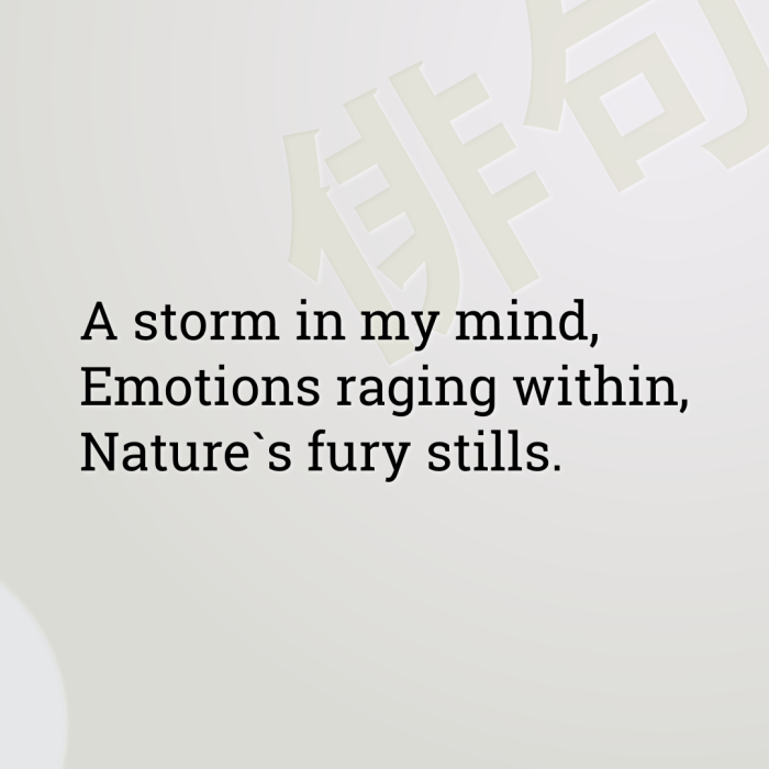 A storm in my mind, Emotions raging within, Nature`s fury stills.