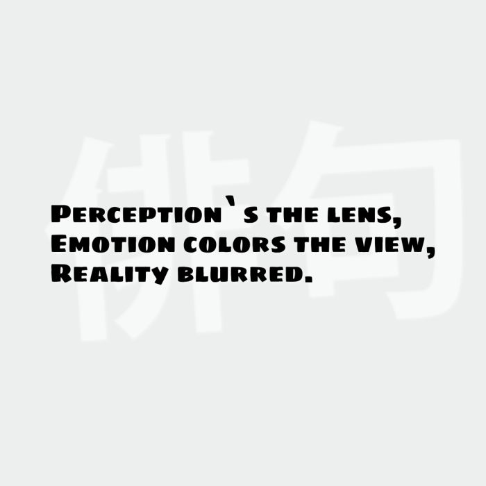 Perception`s the lens, Emotion colors the view, Reality blurred.