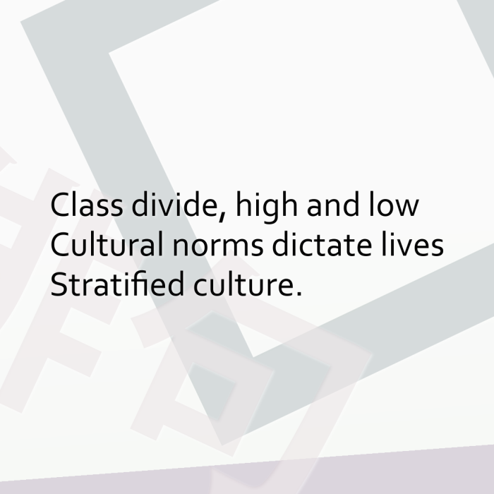 Class divide, high and low Cultural norms dictate lives Stratified culture.