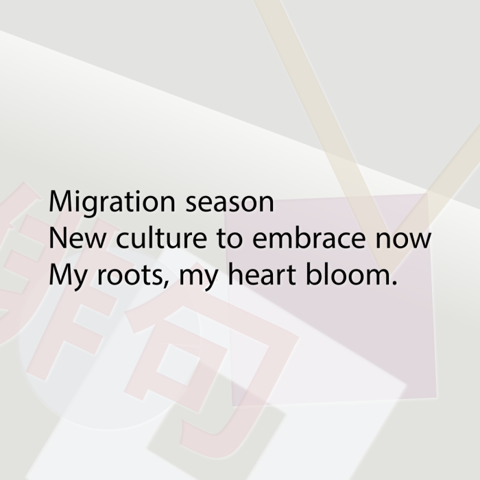 Migration season New culture to embrace now My roots, my heart bloom.