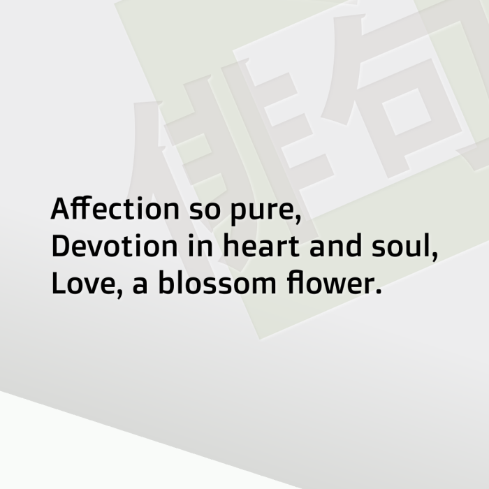 Affection so pure, Devotion in heart and soul, Love, a blossom flower.