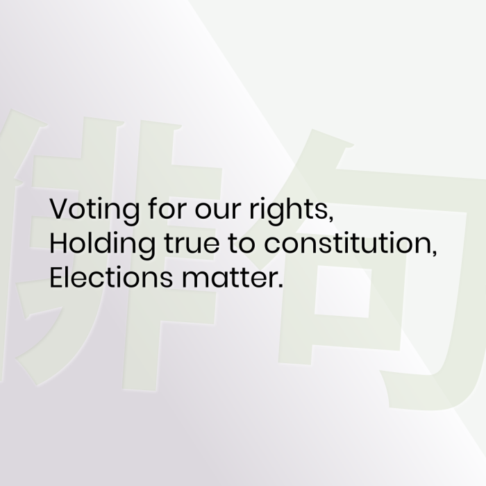 Voting for our rights, Holding true to constitution, Elections matter.