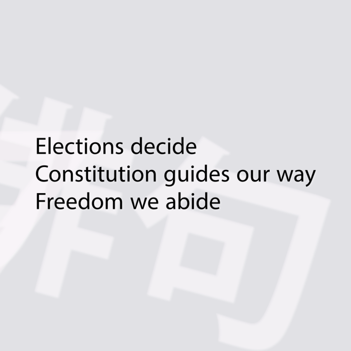 Elections decide Constitution guides our way Freedom we abide