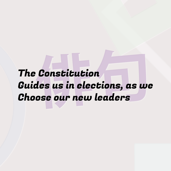 The Constitution Guides us in elections, as we Choose our new leaders