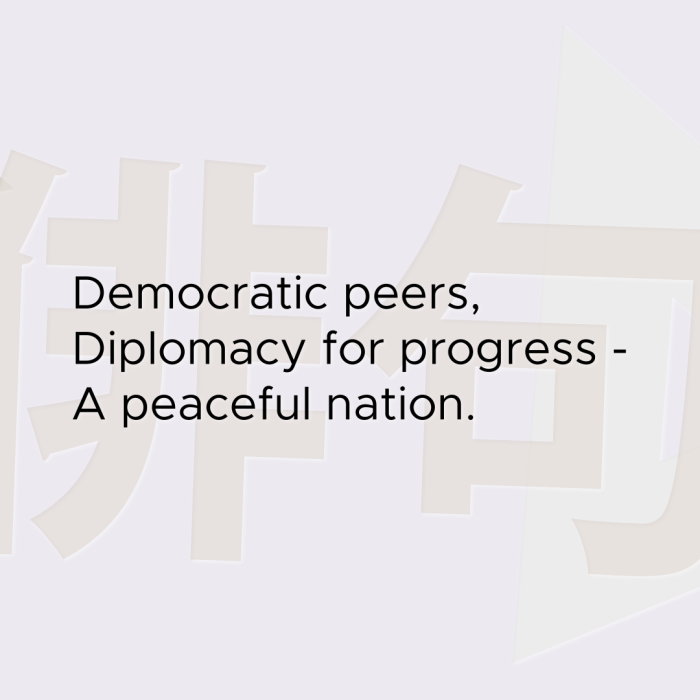Democratic peers, Diplomacy for progress - A peaceful nation.