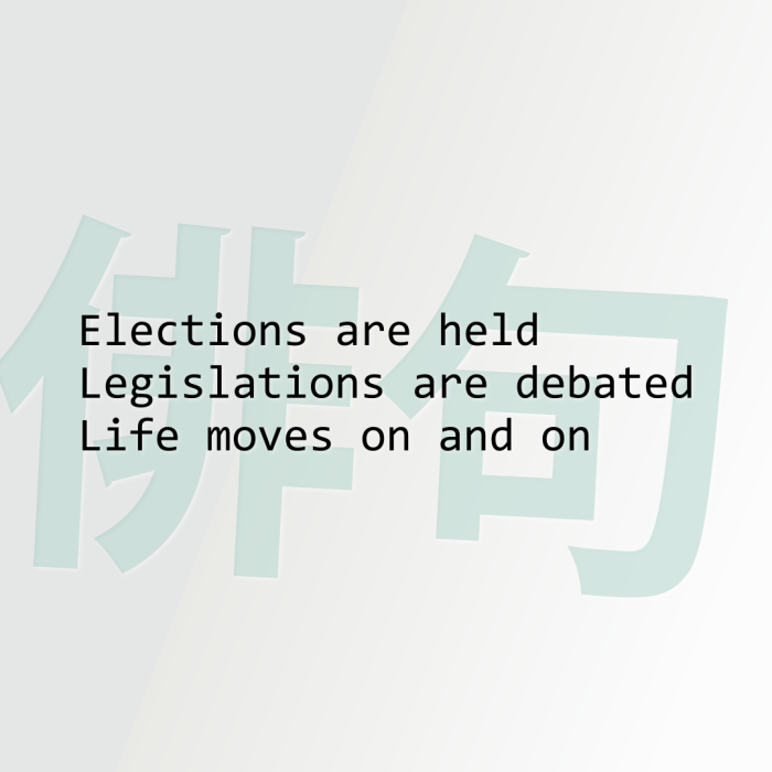 Elections are held Legislations are debated Life moves on and on