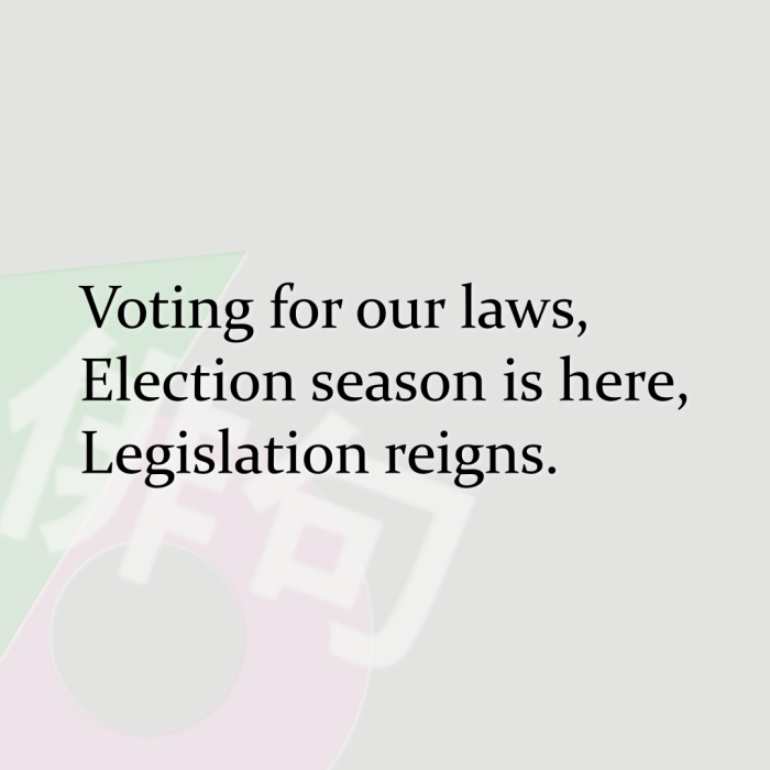Voting for our laws, Election season is here, Legislation reigns.