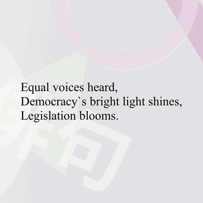 Equal voices heard, Democracy`s bright light shines, Legislation blooms.