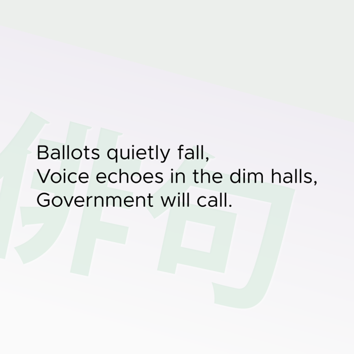 Ballots quietly fall, Voice echoes in the dim halls, Government will call.