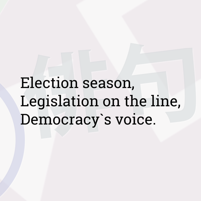 Election season, Legislation on the line, Democracy`s voice.
