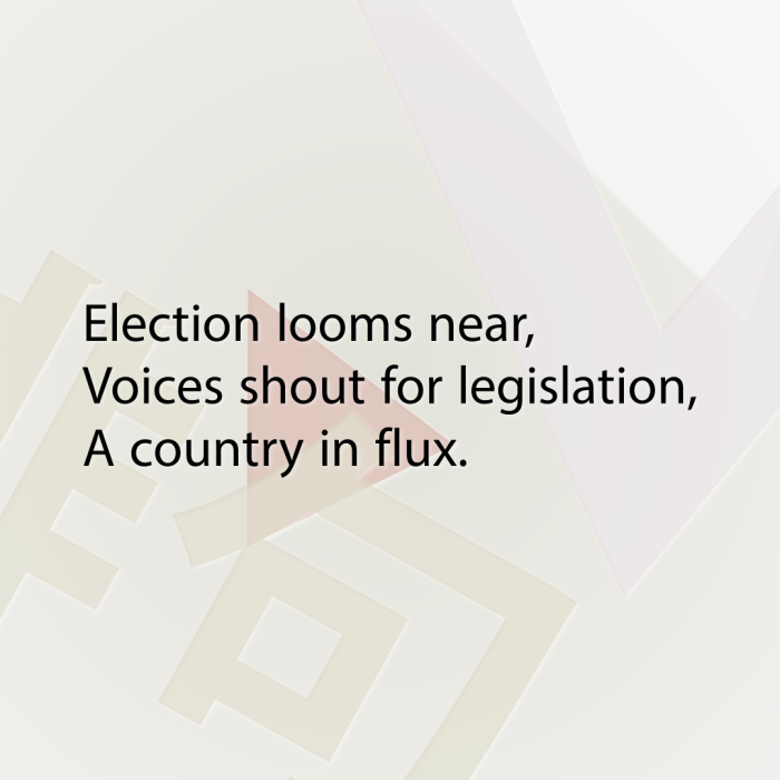 Election looms near, Voices shout for legislation, A country in flux.