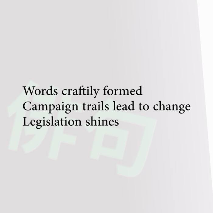 Words craftily formed Campaign trails lead to change Legislation shines
