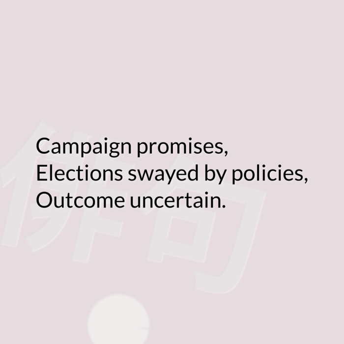 Campaign promises, Elections swayed by policies, Outcome uncertain.