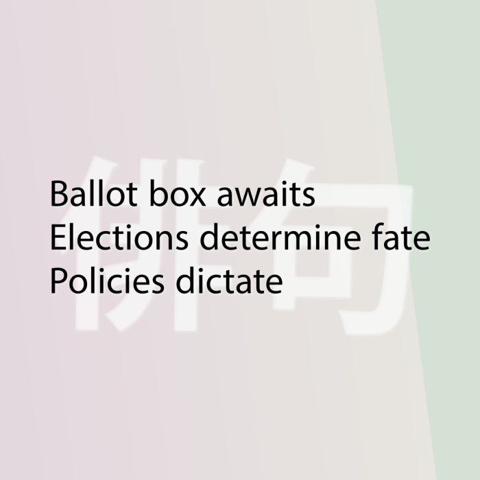 Ballot box awaits Elections determine fate Policies dictate