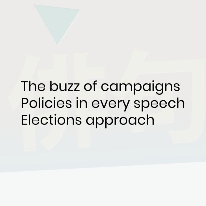 The buzz of campaigns Policies in every speech Elections approach