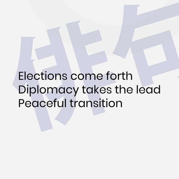 Elections come forth Diplomacy takes the lead Peaceful transition