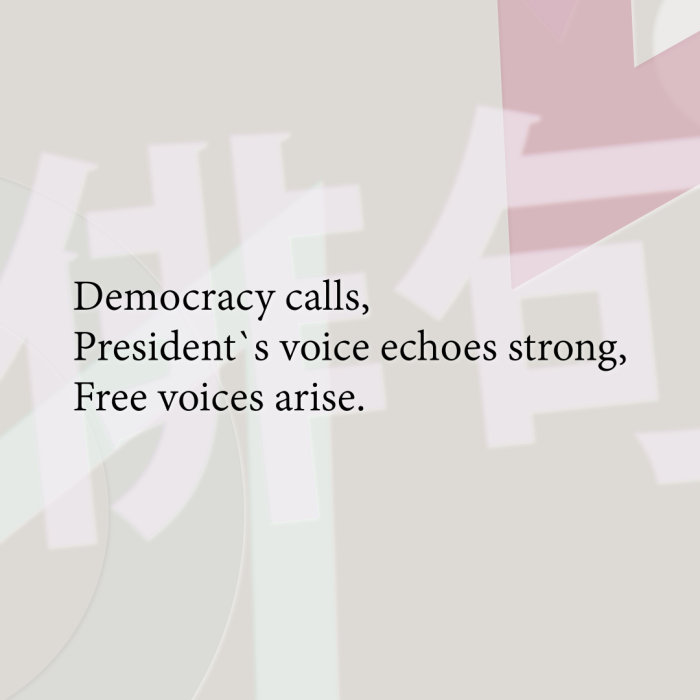 Democracy calls, President`s voice echoes strong, Free voices arise.