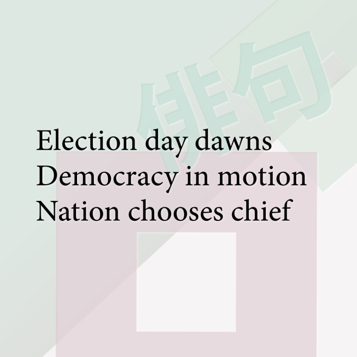 Election day dawns Democracy in motion Nation chooses chief