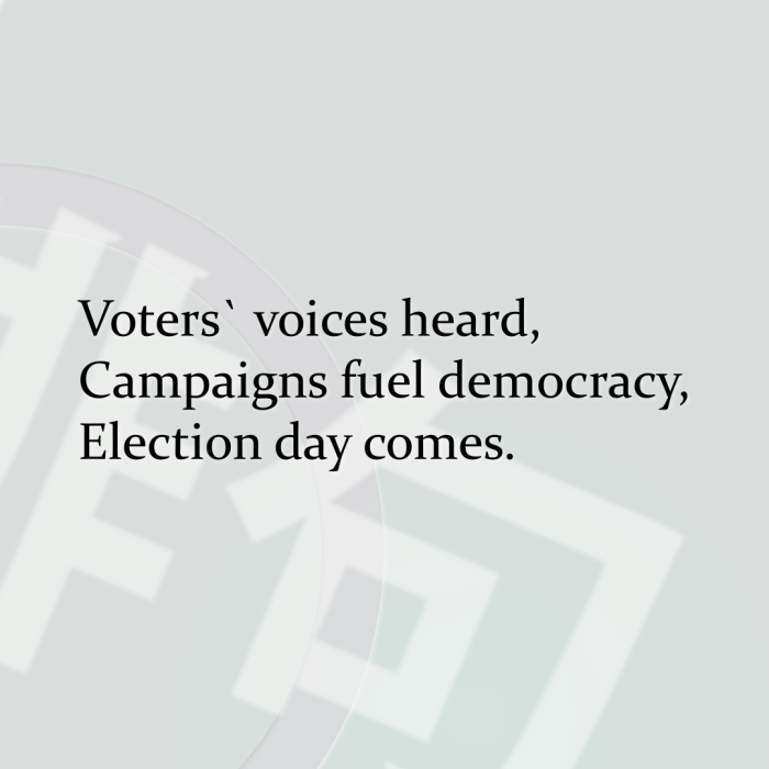 Voters` voices heard, Campaigns fuel democracy, Election day comes.