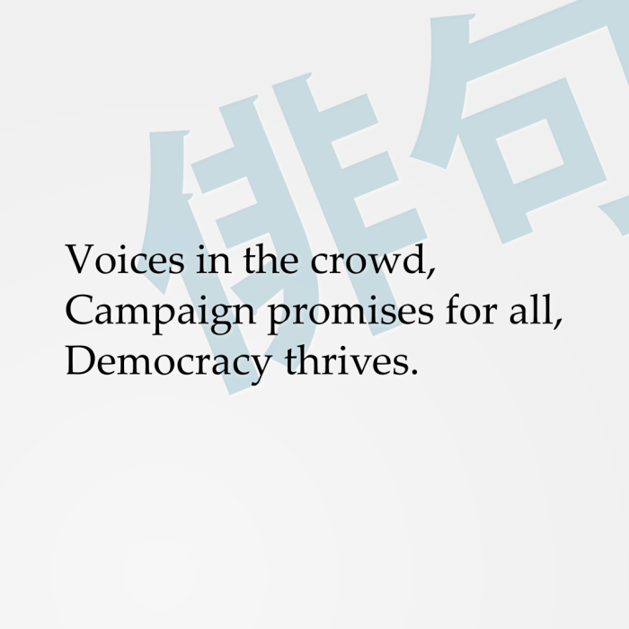 Voices in the crowd, Campaign promises for all, Democracy thrives.