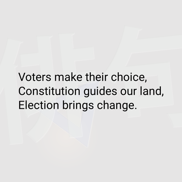 Voters make their choice, Constitution guides our land, Election brings change.