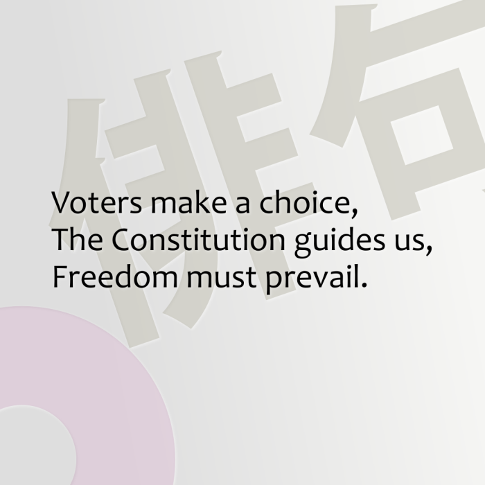 Voters make a choice, The Constitution guides us, Freedom must prevail.