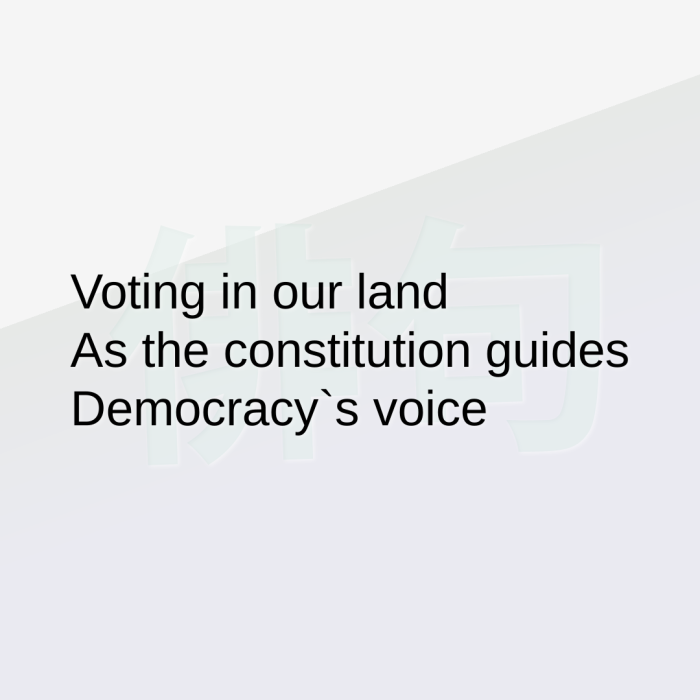 Voting in our land As the constitution guides Democracy`s voice