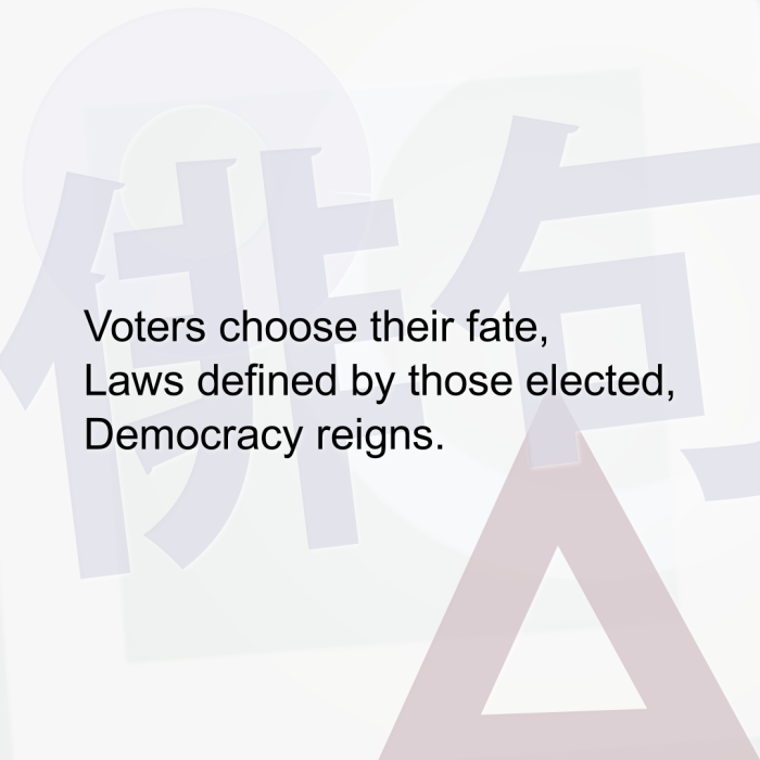 Voters choose their fate, Laws defined by those elected, Democracy reigns.