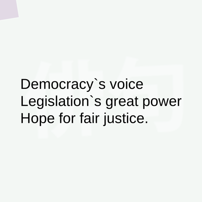 Democracy`s voice Legislation`s great power Hope for fair justice.
