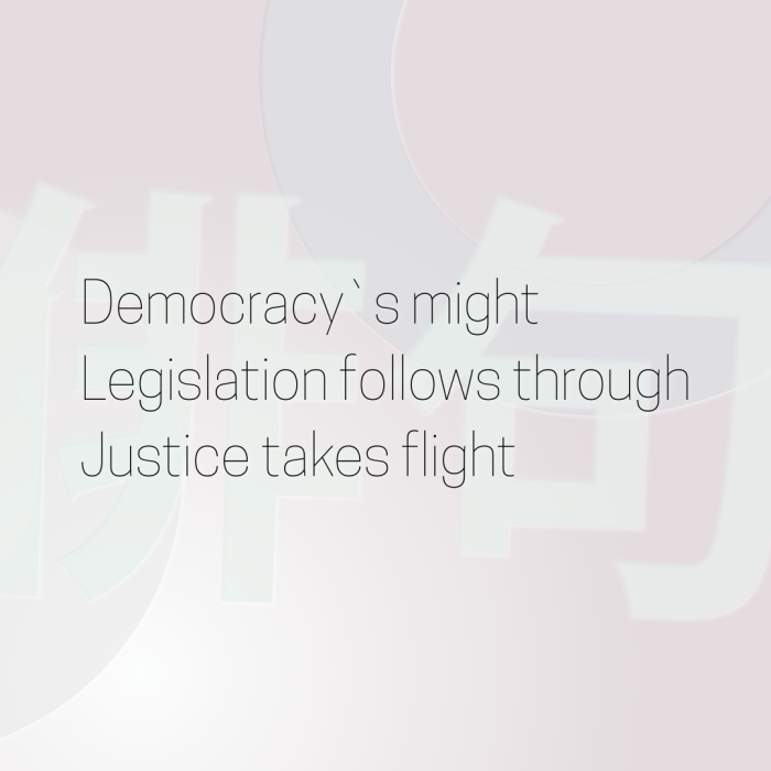 Democracy`s might Legislation follows through Justice takes flight