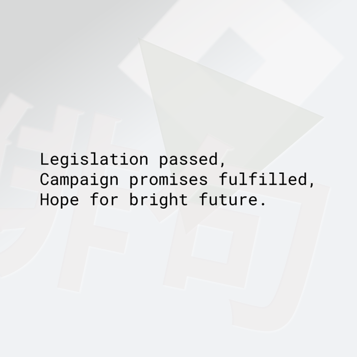 Legislation passed, Campaign promises fulfilled, Hope for bright future.