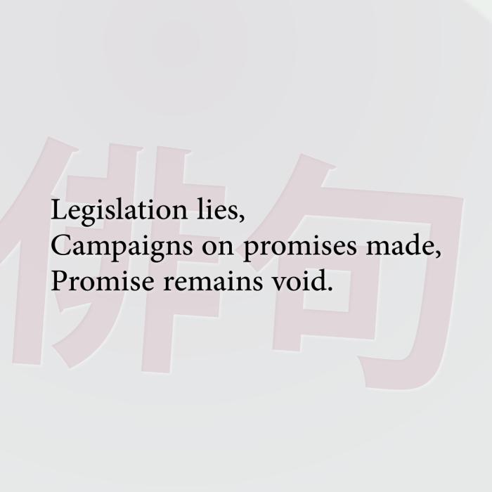 Legislation lies, Campaigns on promises made, Promise remains void.