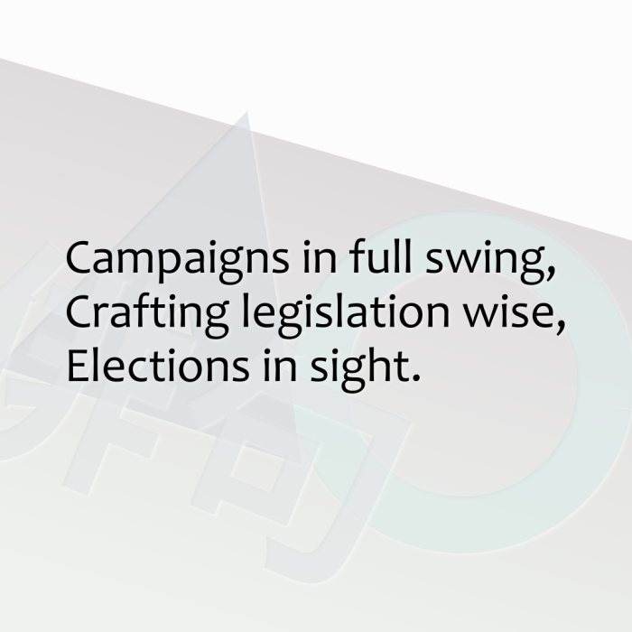 Campaigns in full swing, Crafting legislation wise, Elections in sight.