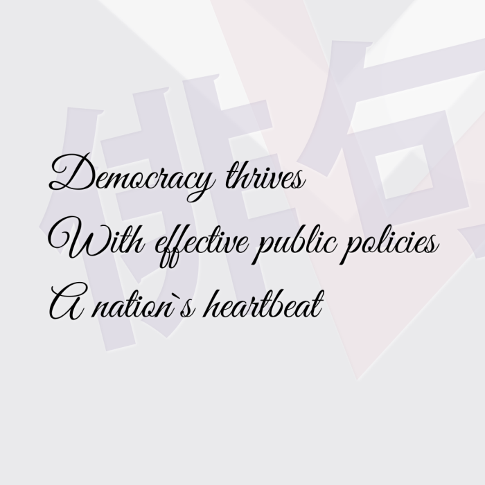 Democracy thrives With effective public policies A nation`s heartbeat