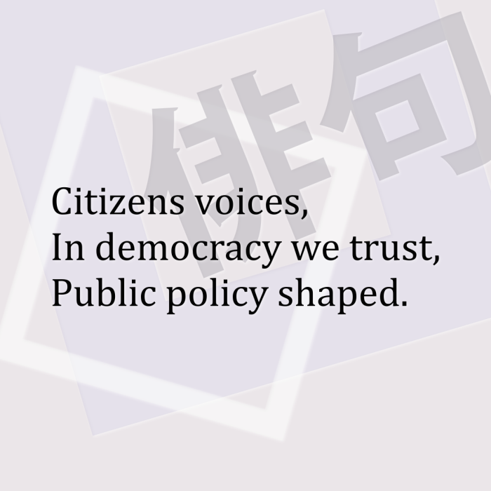 Citizens voices, In democracy we trust, Public policy shaped.