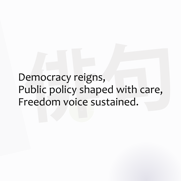 Democracy reigns, Public policy shaped with care, Freedom voice sustained.