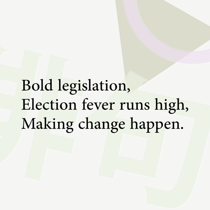 Bold legislation, Election fever runs high, Making change happen.