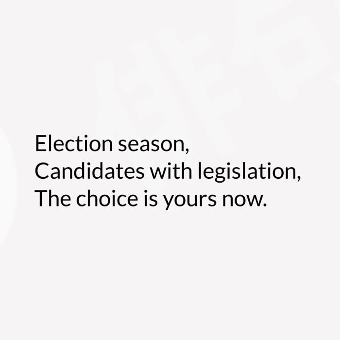 Election season, Candidates with legislation, The choice is yours now.