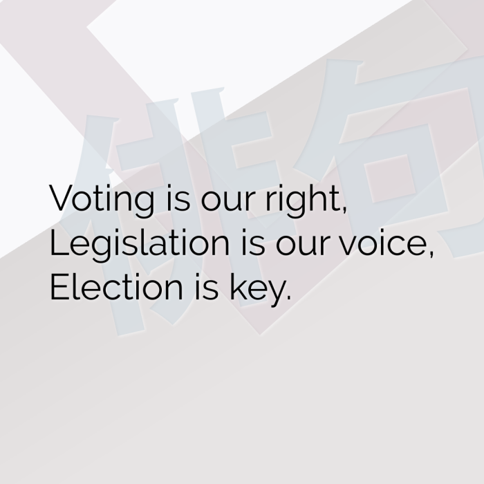 Voting is our right, Legislation is our voice, Election is key.