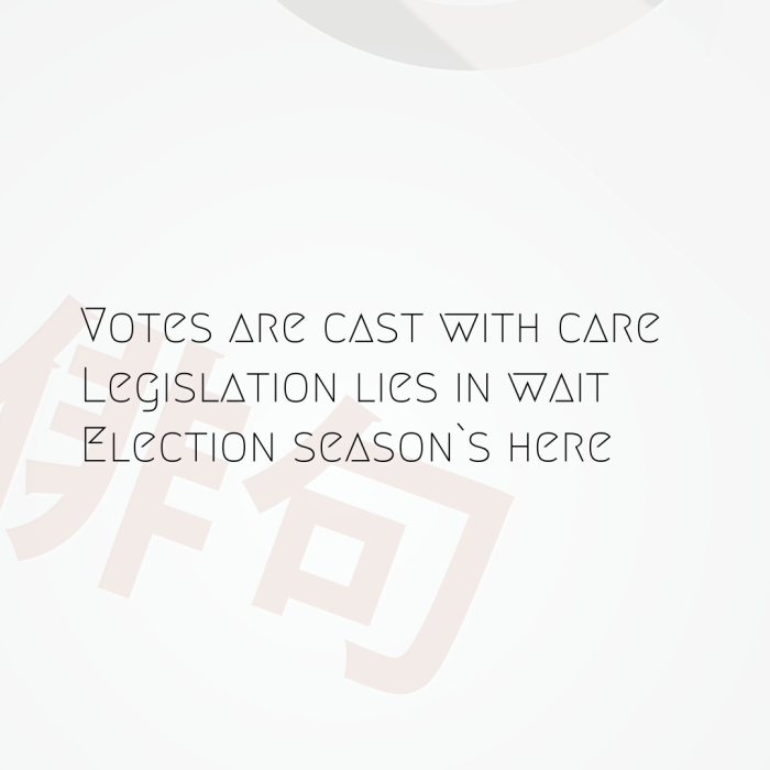 Votes are cast with care Legislation lies in wait Election season`s here