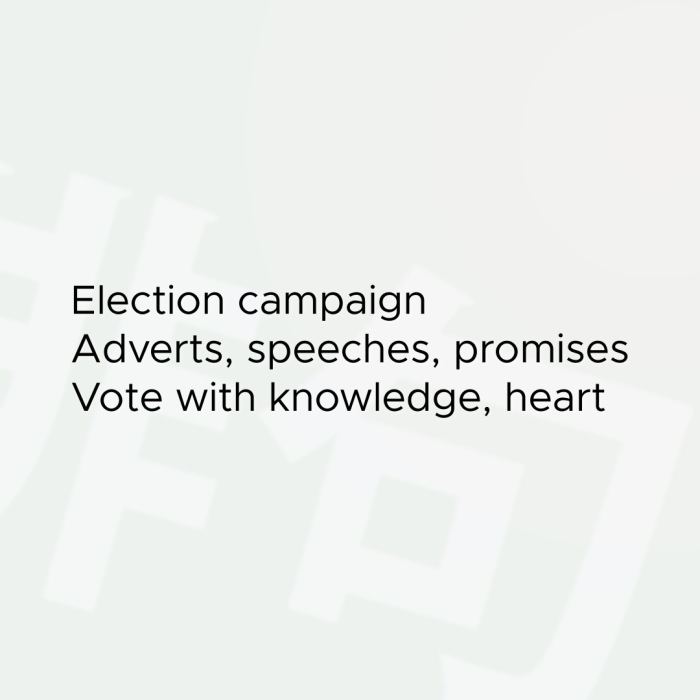 Election campaign Adverts, speeches, promises Vote with knowledge, heart