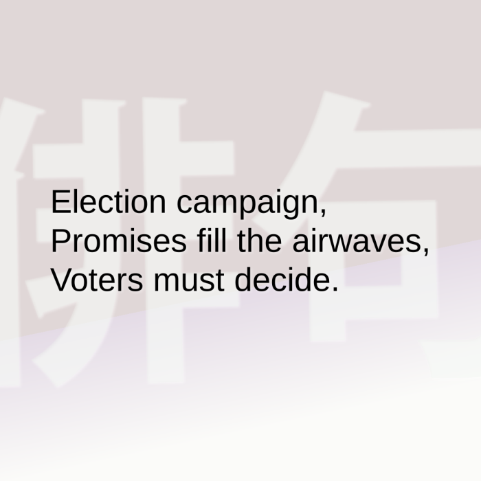 Election campaign, Promises fill the airwaves, Voters must decide.