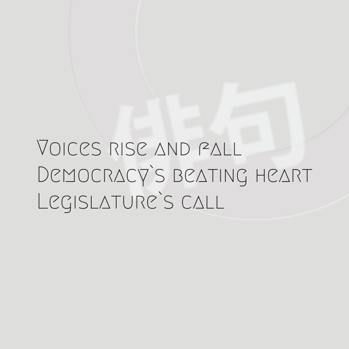 Voices rise and fall Democracy`s beating heart Legislature`s call